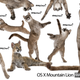 Illustration for article titled Mountain Lion Review: OS X Needs a New Vision